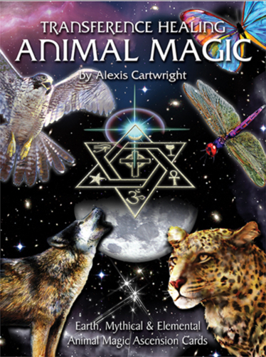 animal-magic